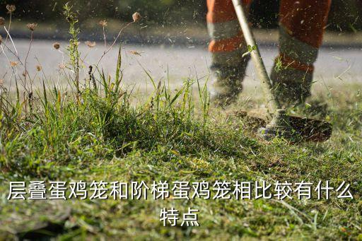 名牌自動化蛋雞設備,自動化養(yǎng)雞需要哪些基本條件?