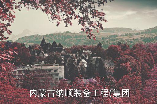  內蒙古納順裝備工程(集團