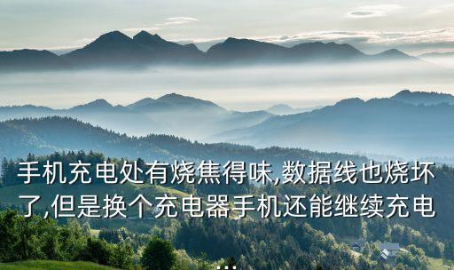手機(jī)充電處有燒焦得味,數(shù)據(jù)線也燒壞了,但是換個(gè)充電器手機(jī)還能繼續(xù)充電...