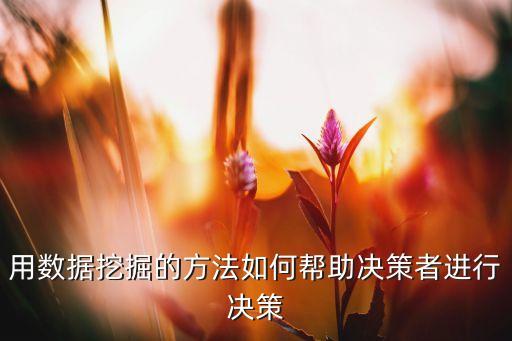 用數(shù)據(jù)挖掘的方法如何幫助決策者進(jìn)行決策