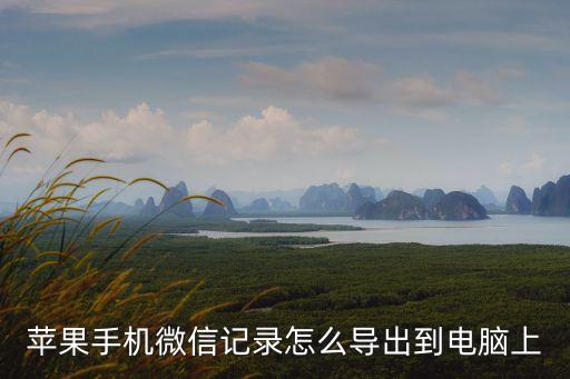 蘋果手機(jī)微信記錄怎么導(dǎo)出到電腦上