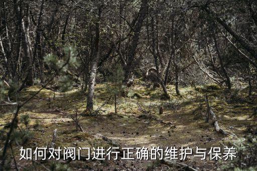 如何對(duì)閥門進(jìn)行正確的維護(hù)與保養(yǎng)