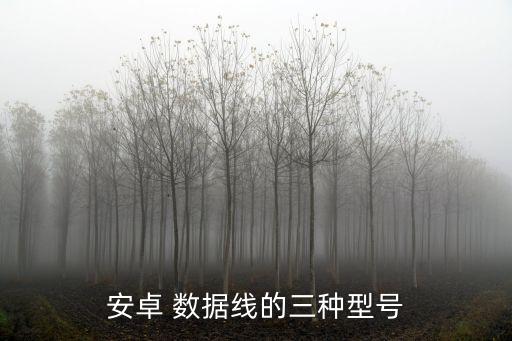 micro usb快充數(shù)據(jù)線,type-c轉(zhuǎn)micro usb數(shù)據(jù)線