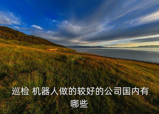  巡檢 機器人做的較好的公司國內(nèi)有哪些