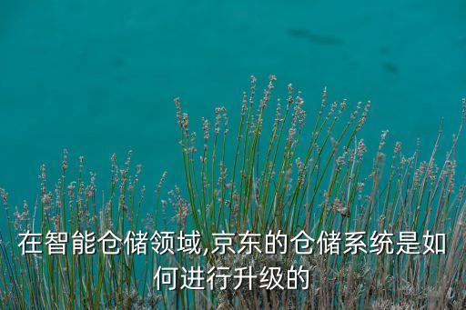 在智能倉儲領域,京東的倉儲系統(tǒng)是如何進行升級的