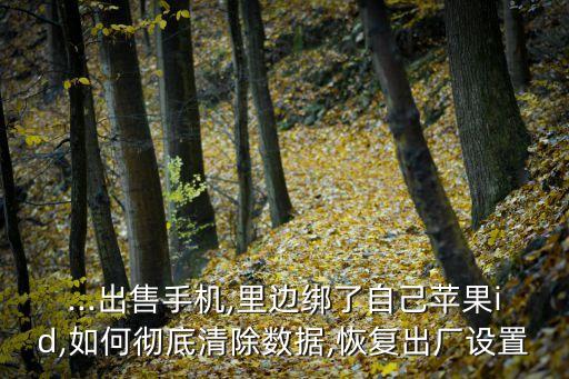 ...出售手機(jī),里邊綁了自己蘋果id,如何徹底清除數(shù)據(jù),恢復(fù)出廠設(shè)置