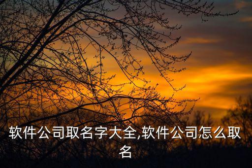 軟件公司取名字大全,軟件公司怎么取名