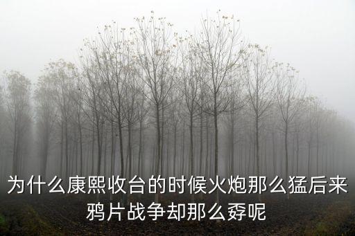 為什么康熙收臺(tái)的時(shí)候火炮那么猛后來(lái)鴉片戰(zhàn)爭(zhēng)卻那么孬呢