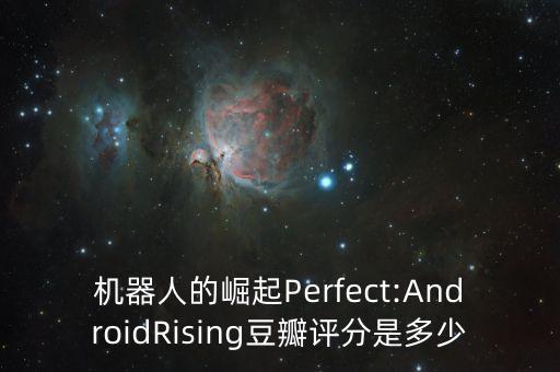 機(jī)器人的崛起Perfect:AndroidRising豆瓣評(píng)分是多少