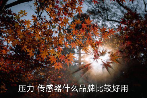 壓力 傳感器什么品牌比較好用