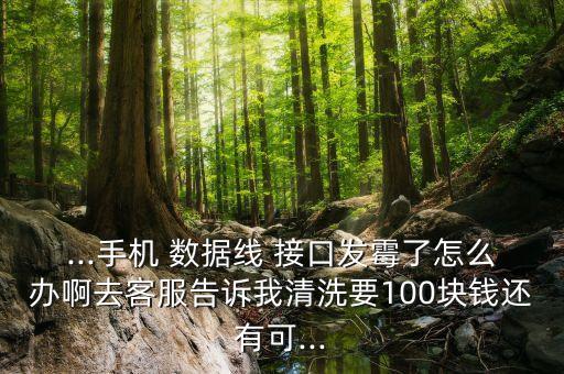 ...手機 數(shù)據(jù)線 接口發(fā)霉了怎么辦啊去客服告訴我清洗要100塊錢還有可...