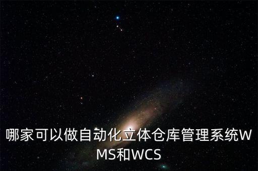 哪家可以做自動化立體倉庫管理系統(tǒng)WMS和WCS