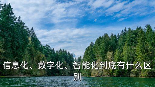 信息化與大數(shù)據(jù)區(qū)別,信息化與數(shù)字化的區(qū)別?
