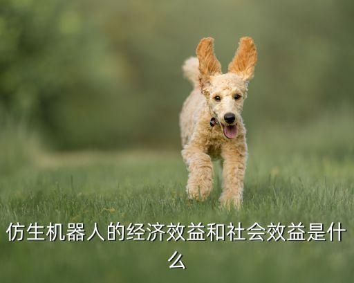 高科技仿生物機器人,日本為何發(fā)展仿生機器人?
