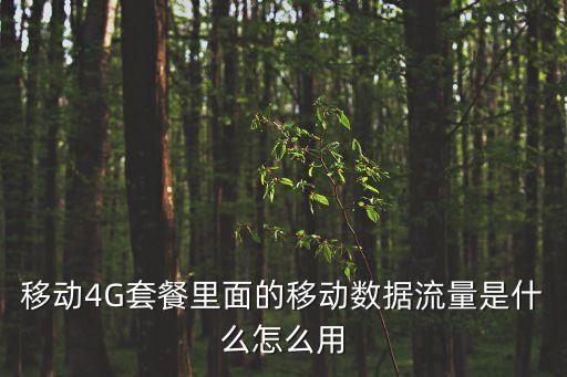 移動4G套餐里面的移動數(shù)據(jù)流量是什么怎么用