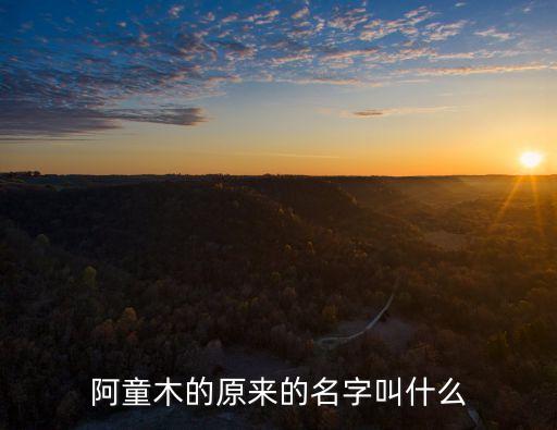 阿童木的原來的名字叫什么