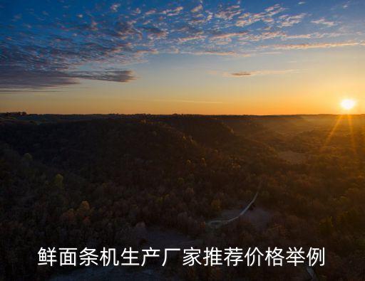 鮮面條機生產(chǎn)廠家推薦價格舉例