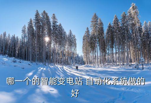 哪一個(gè)的智能變電站 自動(dòng)化系統(tǒng)做的好