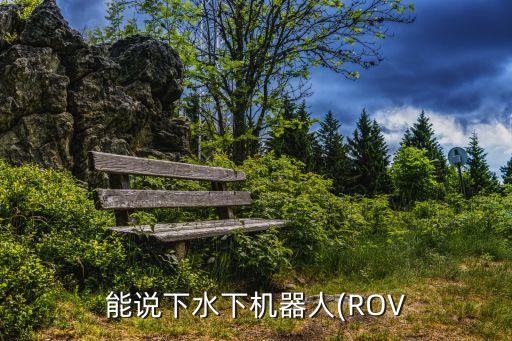 潛水機(jī)器人有哪些功能,智能檢測(cè)機(jī)器人有哪些功能?