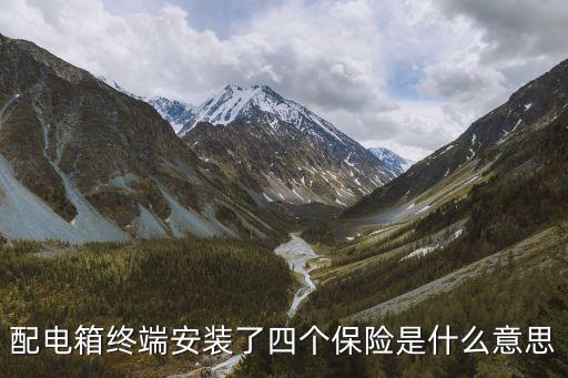 配電箱終端安裝了四個保險是什么意思