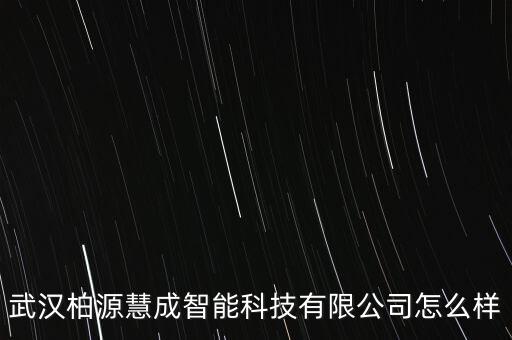 武漢柏源慧成智能科技有限公司怎么樣
