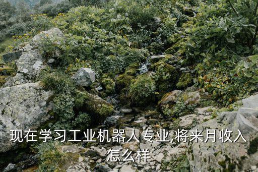 現(xiàn)在學(xué)習(xí)工業(yè)機(jī)器人專業(yè),將來月收入怎么樣