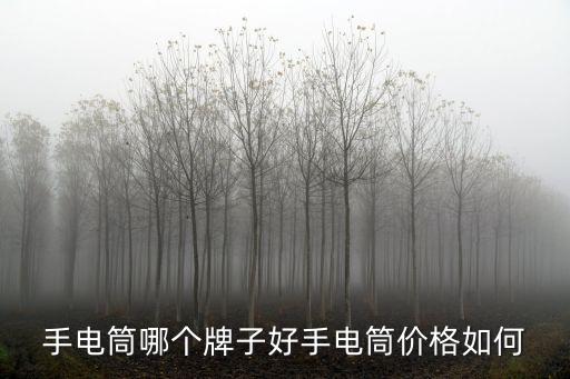 科技自動(dòng)電筒怎么樣啊,科技小制作手電筒你知道這些嗎?