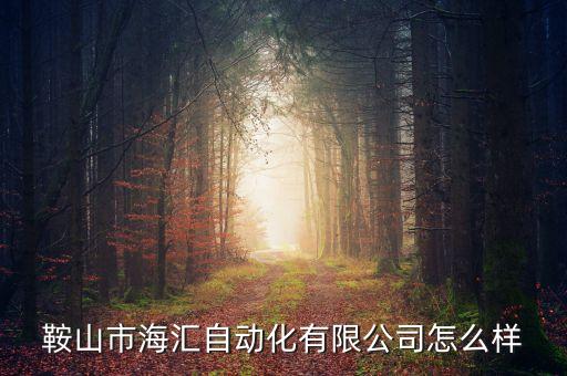 鞍山市海匯自動化有限公司怎么樣