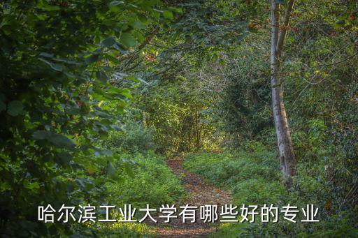 哈爾濱工業(yè)大學(xué)有哪些好的專(zhuān)業(yè)