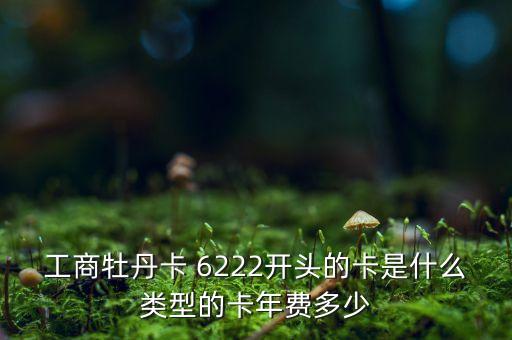 6222,6222開頭的銀行卡有哪些?