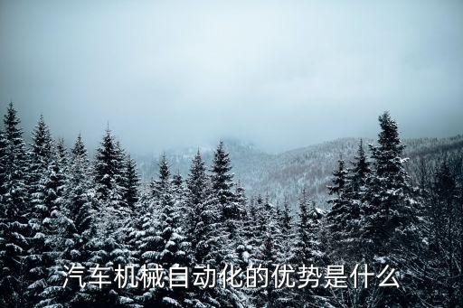 汽車(chē)機(jī)械自動(dòng)化的優(yōu)勢(shì)是什么