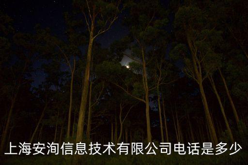 上海安洵信息技術(shù)有限公司電話是多少