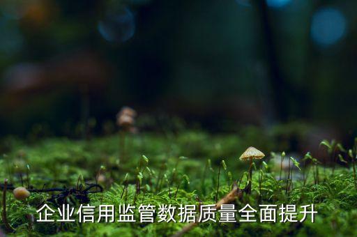 企業(yè)信用監(jiān)管數(shù)據(jù)質(zhì)量全面提升