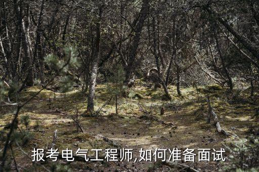 報考電氣工程師,如何準備面試