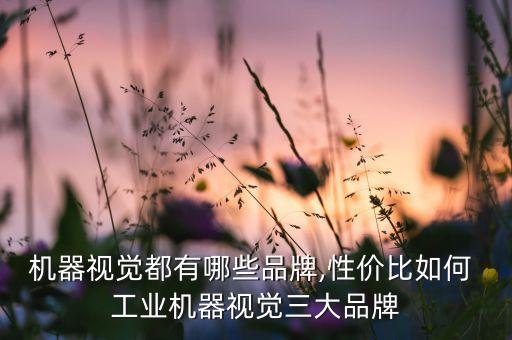機器視覺都有哪些品牌,性價比如何 工業(yè)機器視覺三大品牌
