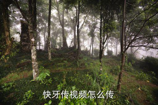 快牙怎么傳數(shù)據(jù)包,快牙怎么遠(yuǎn)傳?可以用手機(jī)傳送游戲嗎?