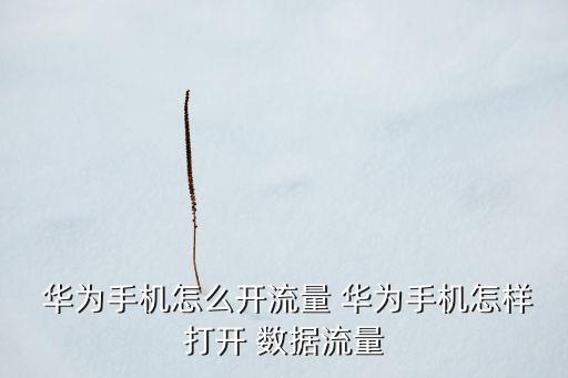 華為數(shù)據(jù)怎么開(kāi)啟,華為怎么數(shù)據(jù)遷移到新手機(jī)