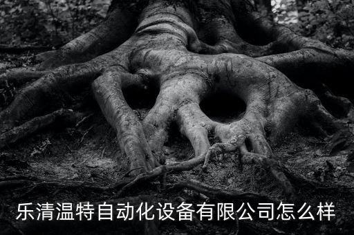 樂清溫特自動(dòng)化設(shè)備有限公司怎么樣