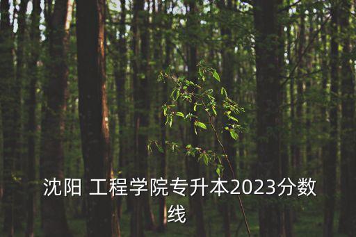  沈陽 工程學(xué)院專升本2023分?jǐn)?shù)線