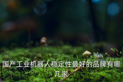 莘翔自動(dòng)化科技有限公司,中國(guó)生產(chǎn)自動(dòng)化設(shè)備公司有哪些?