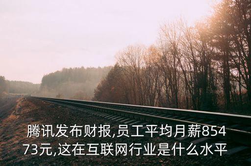  騰訊發(fā)布財(cái)報(bào),員工平均月薪85473元,這在互聯(lián)網(wǎng)行業(yè)是什么水平