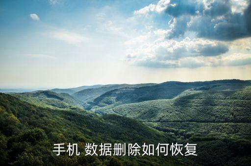 手機(jī) 數(shù)據(jù)刪除如何恢復(fù)