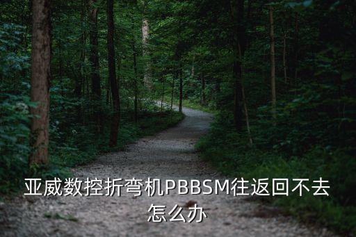 亞威數(shù)控折彎機PBBSM往返回不去怎么辦