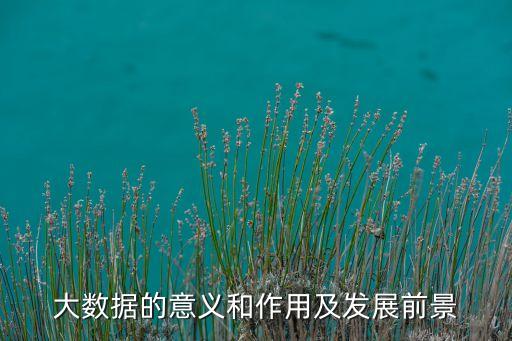 大數(shù)據(jù) 無(wú)人駕駛,大數(shù)據(jù):可用于無(wú)人駕駛汽車和物聯(lián)網(wǎng)技術(shù)