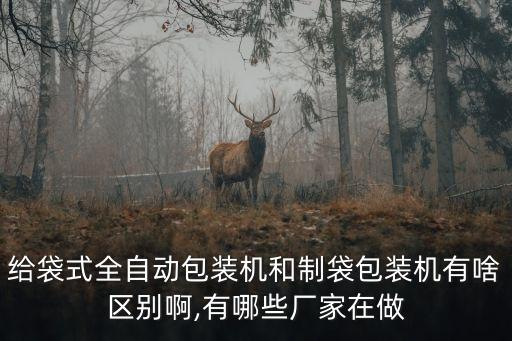 給袋式全自動(dòng)包裝機(jī)和制袋包裝機(jī)有啥區(qū)別啊,有哪些廠家在做