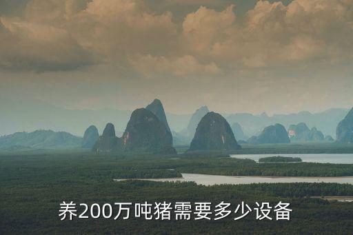 養(yǎng)200萬(wàn)噸豬需要多少設(shè)備