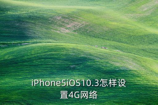 蘋果5的移動數(shù)據(jù)設(shè)置,蘋果5怎么開啟移動數(shù)據(jù)設(shè)置?