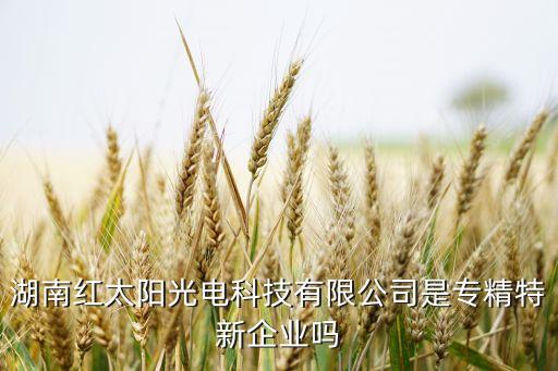 湖南紅太陽光電科技有限公司是專精特新企業(yè)嗎