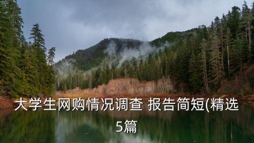 大學(xué)生網(wǎng)購情況調(diào)查 報告簡短(精選5篇
