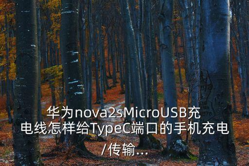華為nova2sMicroUSB充電線怎樣給TypeC端口的手機充電/傳輸...
